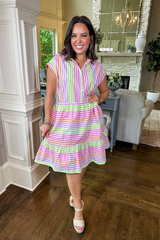 Orchid Garden Striped Swing Dress in Lime