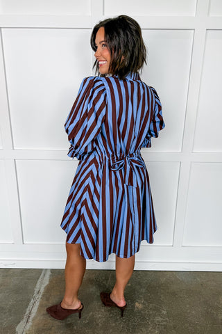 Stripe Me Pretty Dress in Blue & Brown