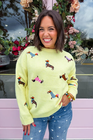 Puppy Parade Embroidered Knit Sweater