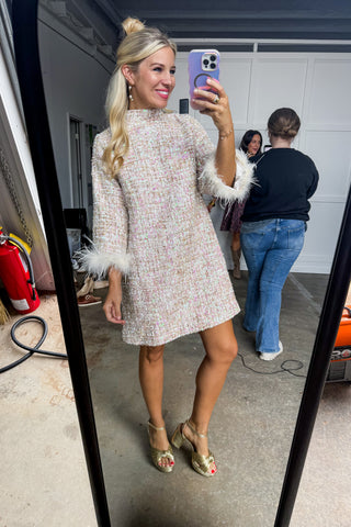 Champagne Details  Tweed Feather Dress