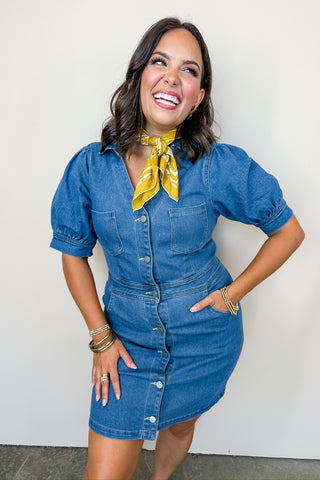 The Fitted Dolly Denim Dress