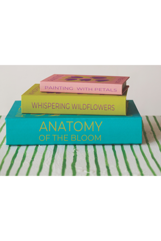 Color Pop Book Storage Box Set