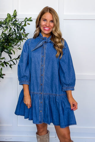 Denim Darling Tie Neck Drop Waist Dress