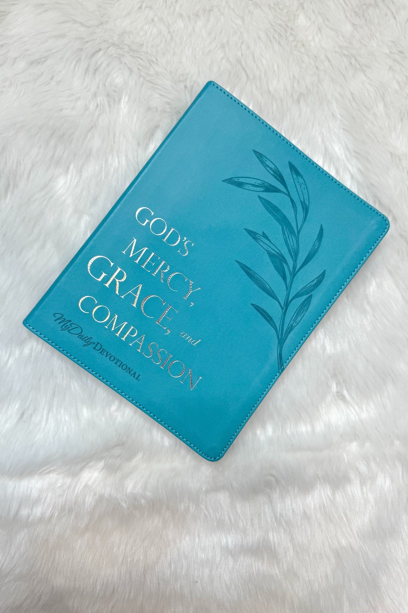 God's Mercy, Grace, and Compassion Devotional