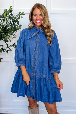 Denim Darling Tie Neck Drop Waist Dress