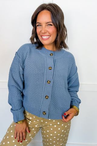 Keep It Cozy Knit Cardigan in Blue