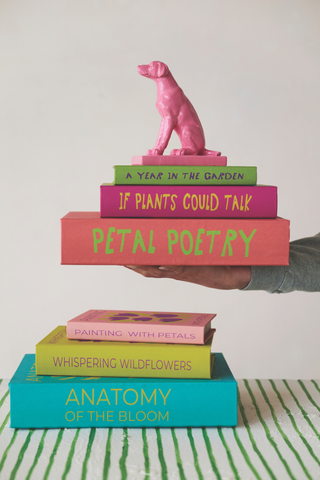 Color Pop Book Storage Box Set