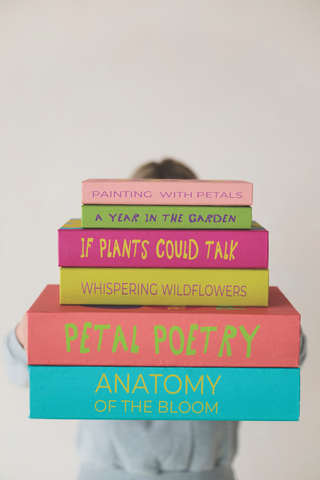 Color Pop Book Storage Box Set