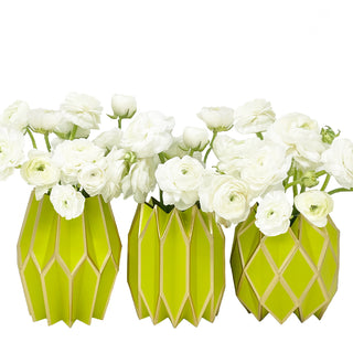 Lucy Grymes Paper Vase Wrap Set