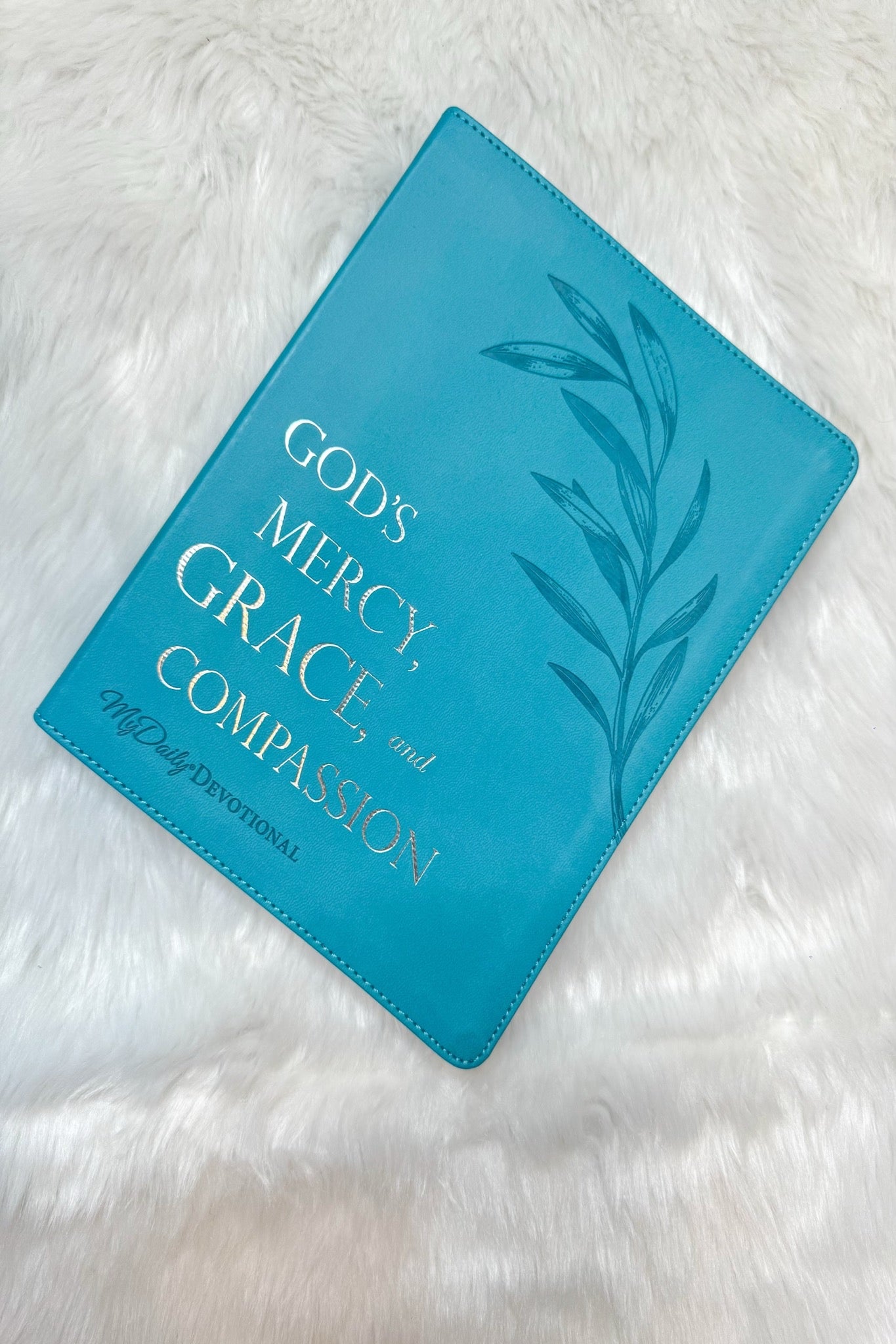 God's Mercy, Grace, and Compassion Devotional