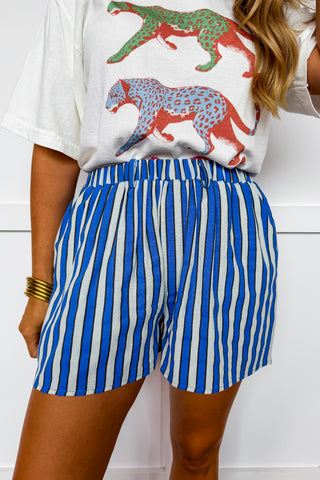 The Hallie Stripe Shorts in Blue