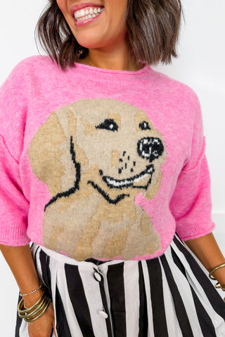 Golden Retriever Pink Cropped Sweater