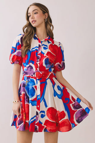 Multi Color Belt Dress