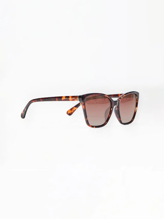The Mara Tortoise Polarized Sunglasses by Mary Square