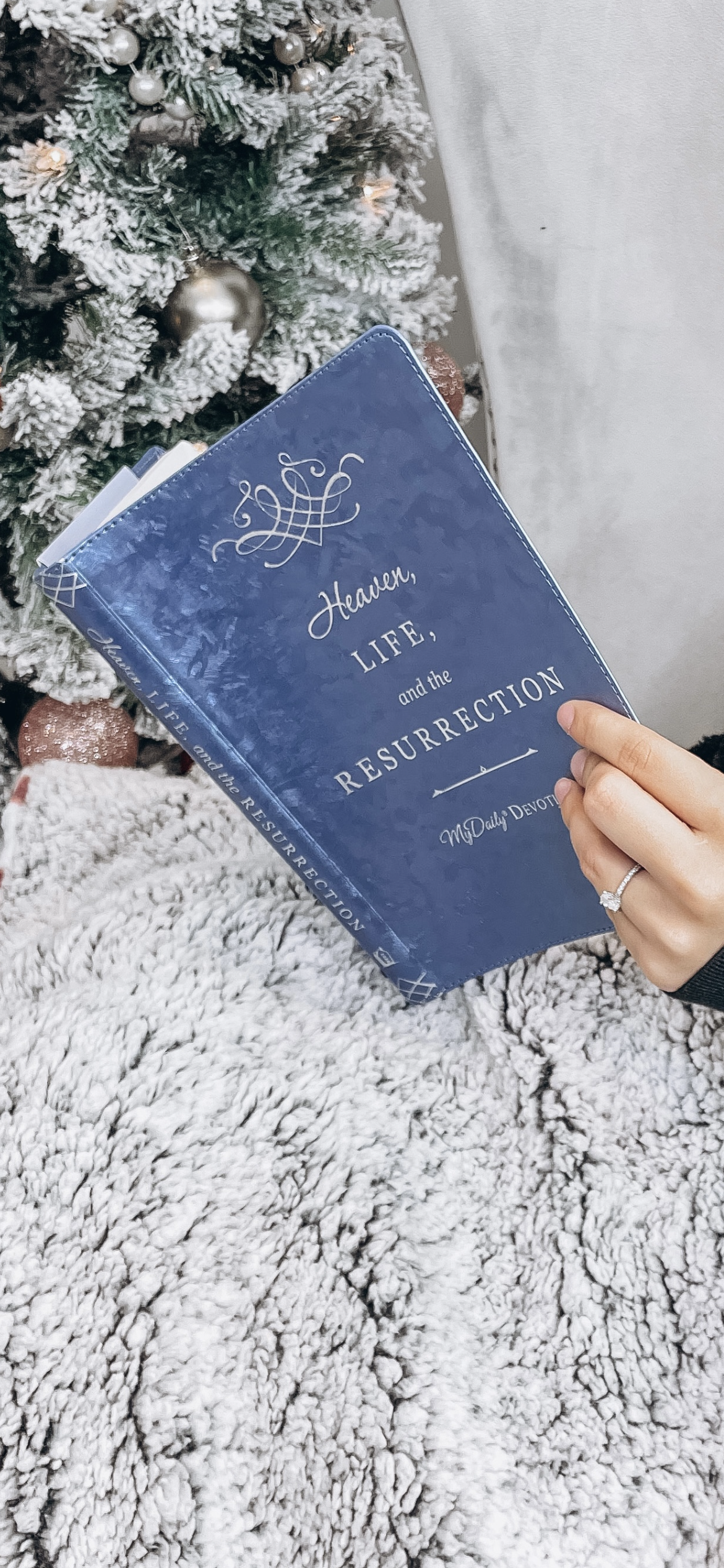 Heaven, Life, and the Resurrection Daily Devotional